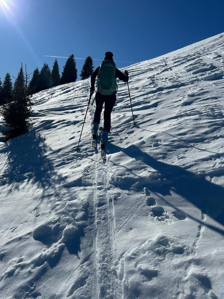 Almchalet Weberhof Apartmán Going am Wilden Kaiser