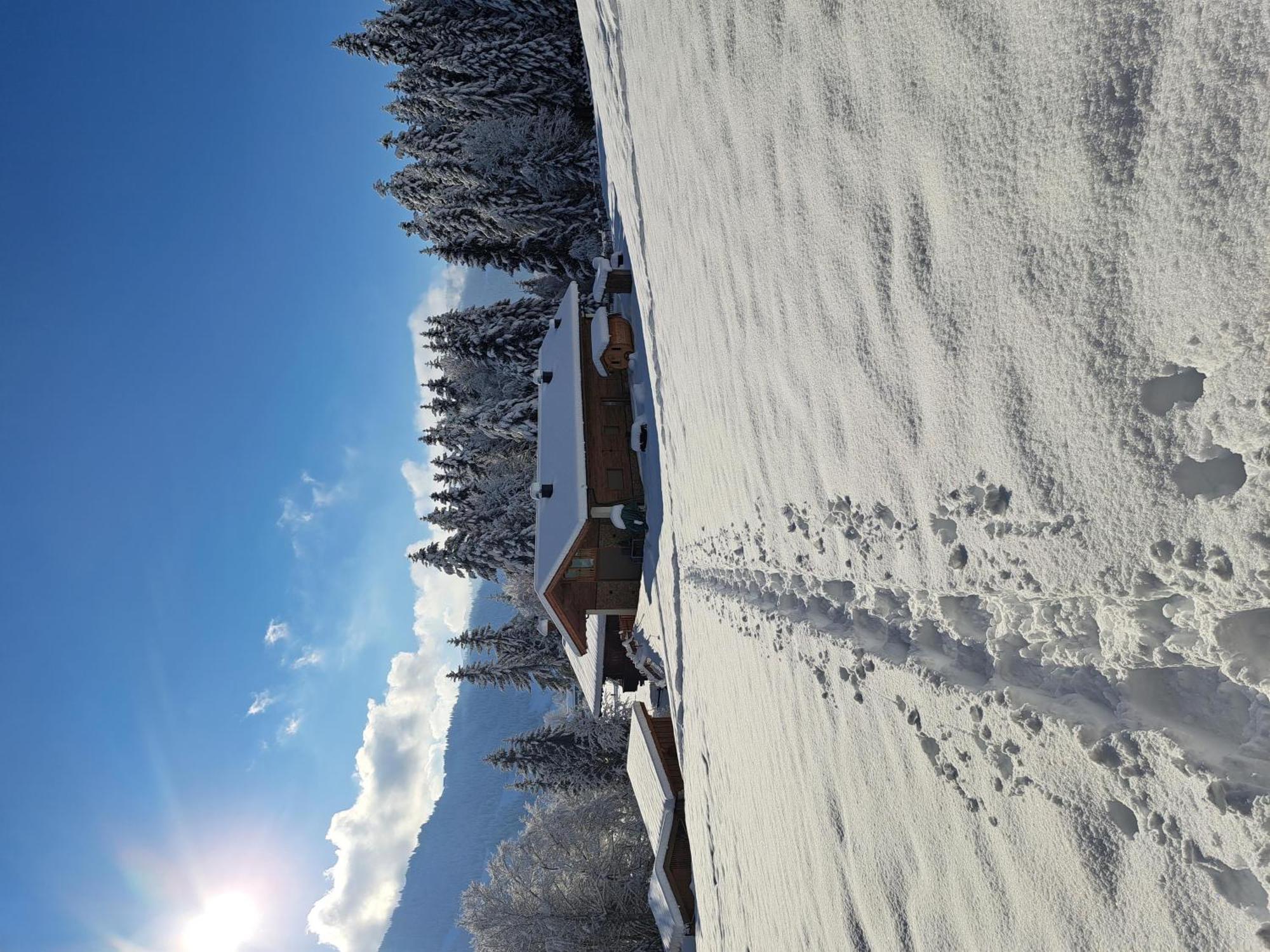 Almchalet Weberhof *